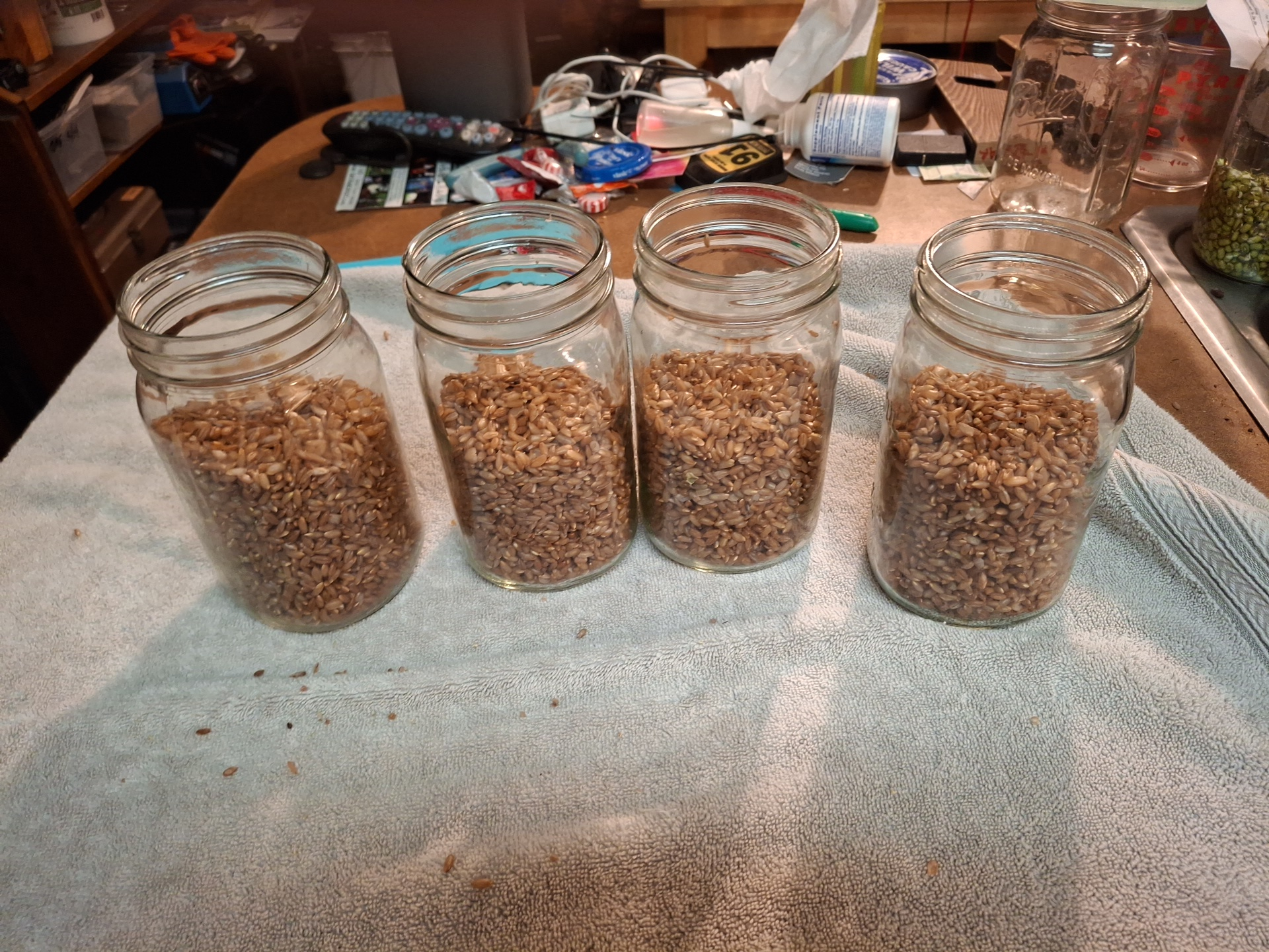 Boiled Rye in jars